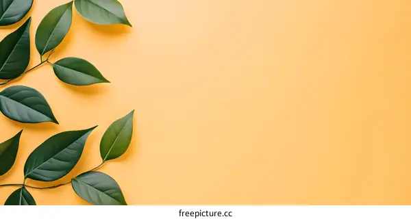 Green Leaves on Yellow Background Minimalist Photography