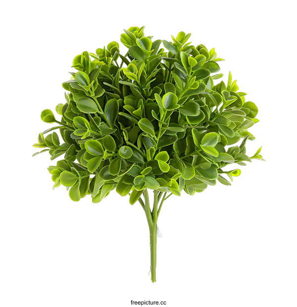 [Transparent Background PNG]Green Artificial Bush Plant with White Background