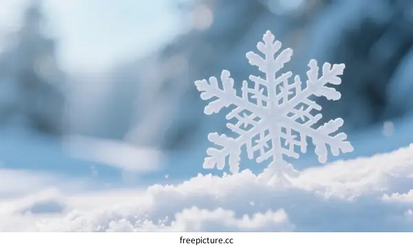 A close-up view of a delicate white snowflake on a snowy surface