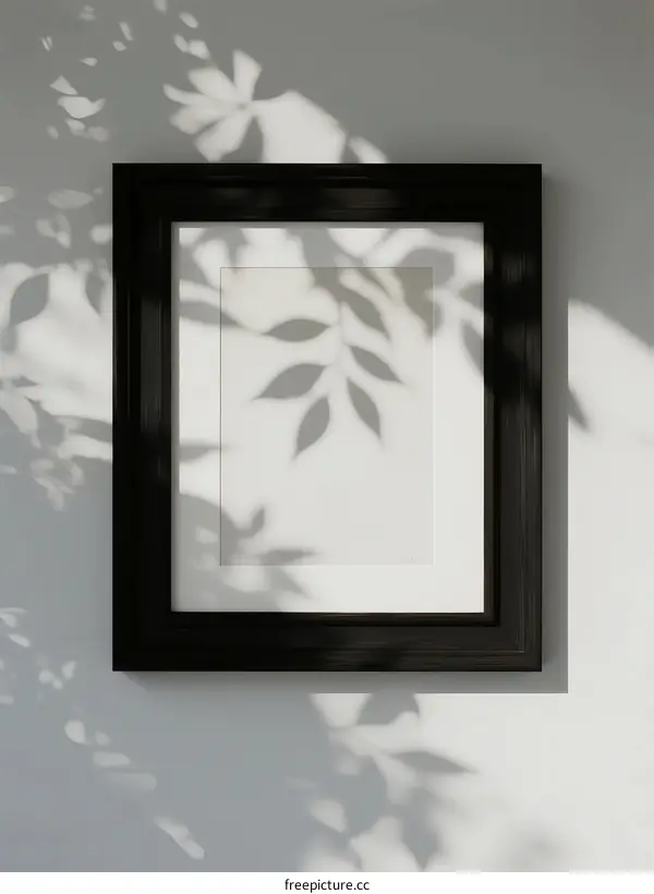 Shadow of Leaves Cast on White Wall Through Black Frame