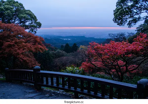Autumn Landscape with City Skyline in the Distance