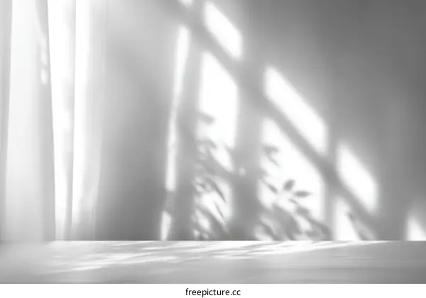Abstract Light and Shadow Studio Background