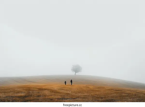 Two people standing on a hill in the fog