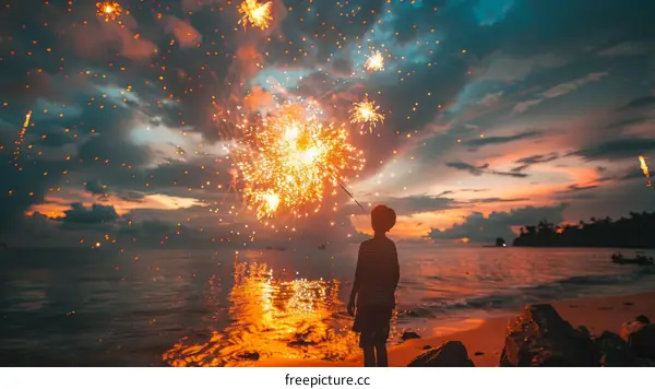 Boy watching fireworks on the beach