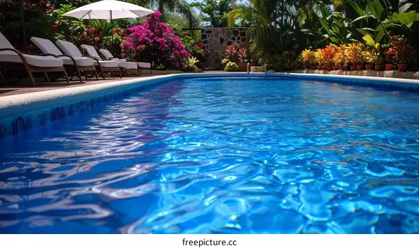 Luxury Tropical Swimming Pool Paradise