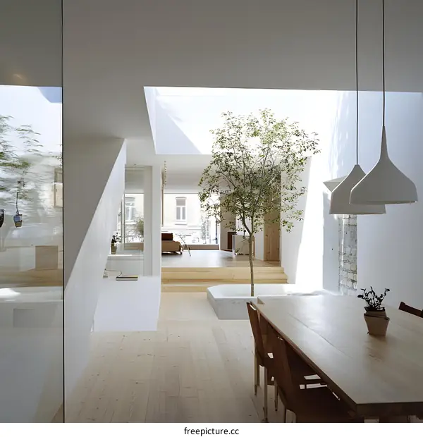 Modern Minimalist Interior Design with Natural Light and a Tree in the Center