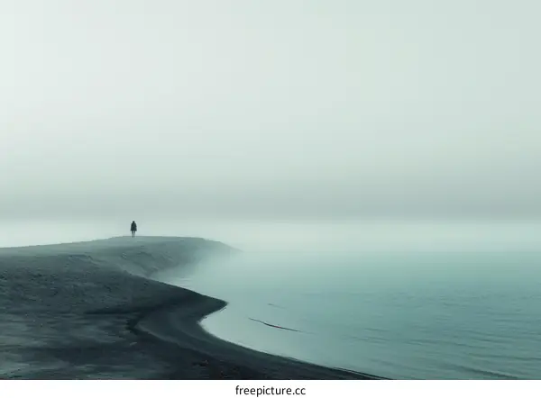 Person walking on a beach with fog