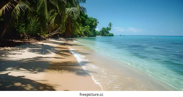 Beach with palm trees and blue water