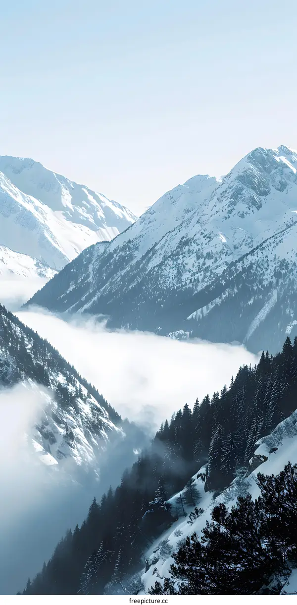 Snowy Mountain Landscape with Fog