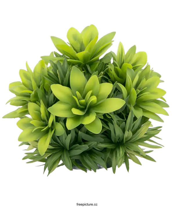 [Transparent Background PNG]Artificial Green Plant  Arrangement for Home Decoration