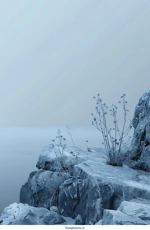 Tranquil Winter Landscape With Fog and Rocks