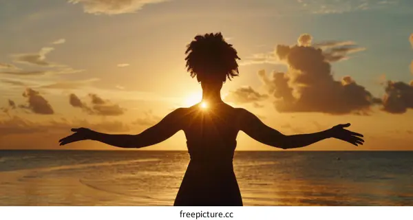 Carefree black woman at sunset with arms outstretched