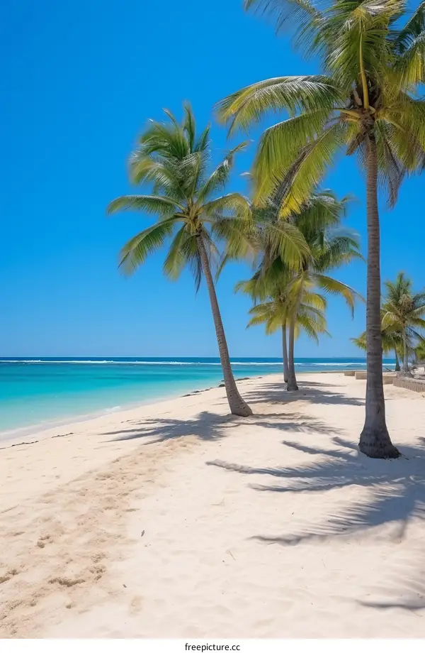 Secluded Beach with Graceful Palm Trees