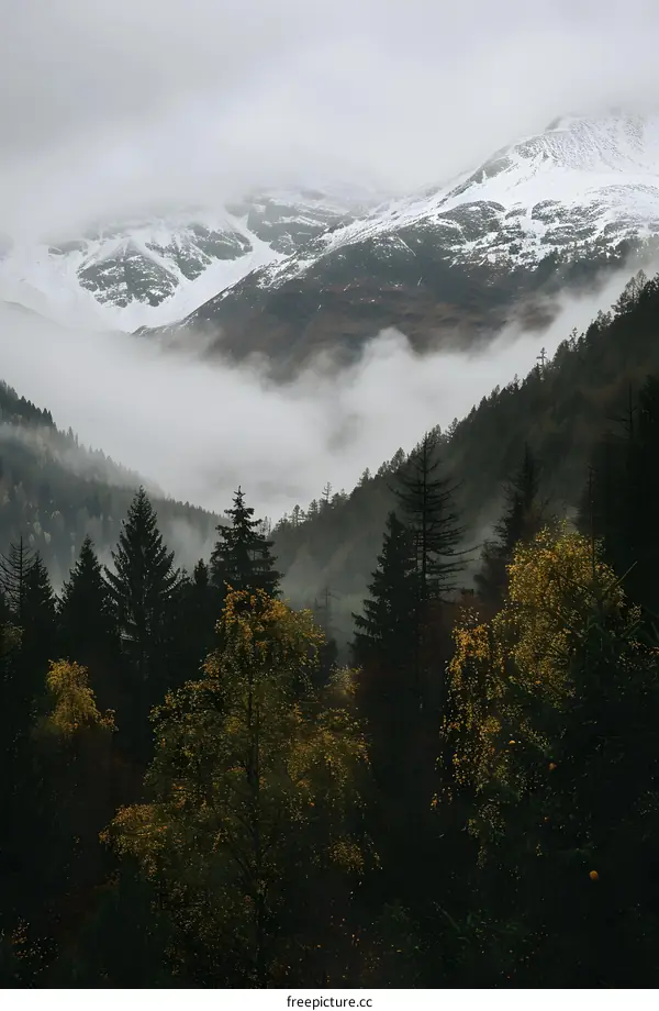 Misty Mountain Landscape With Snowy Peak