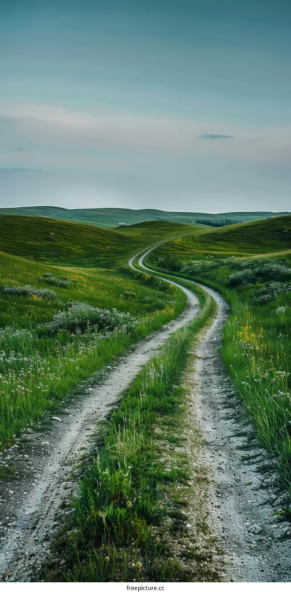 Dirt road through a lush green hillside
