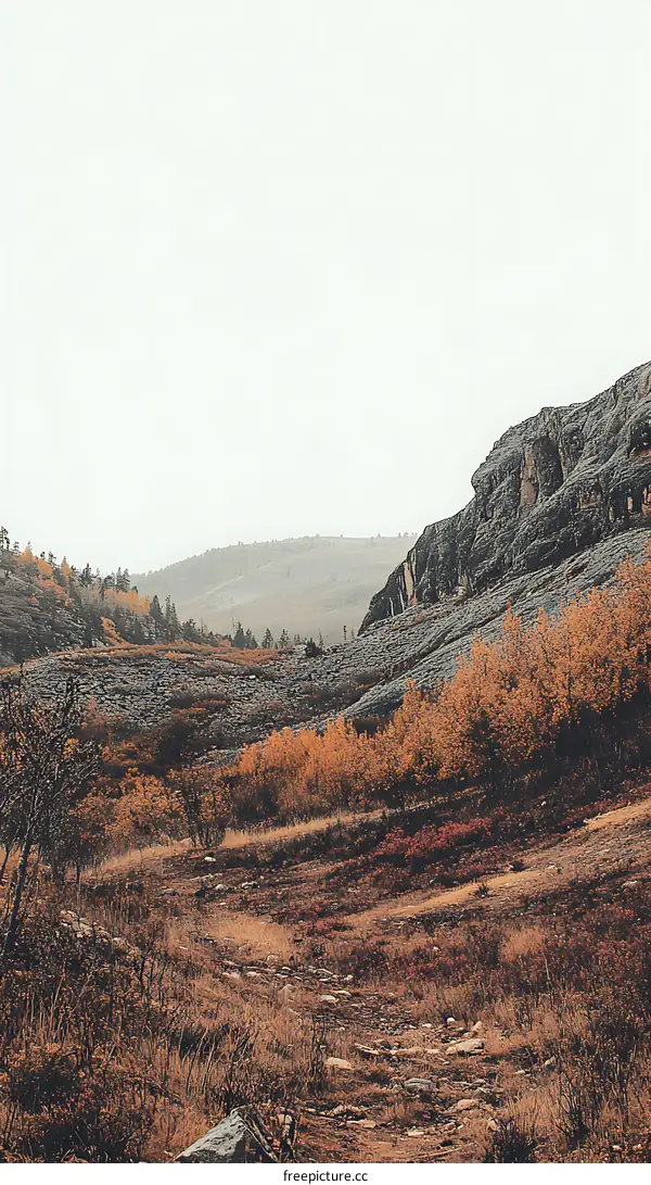 Autumn Landscape in the Mountains with a Winding Path