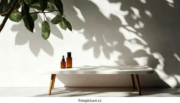 Modern Minimalist Cosmetic Display with Natural Shadow