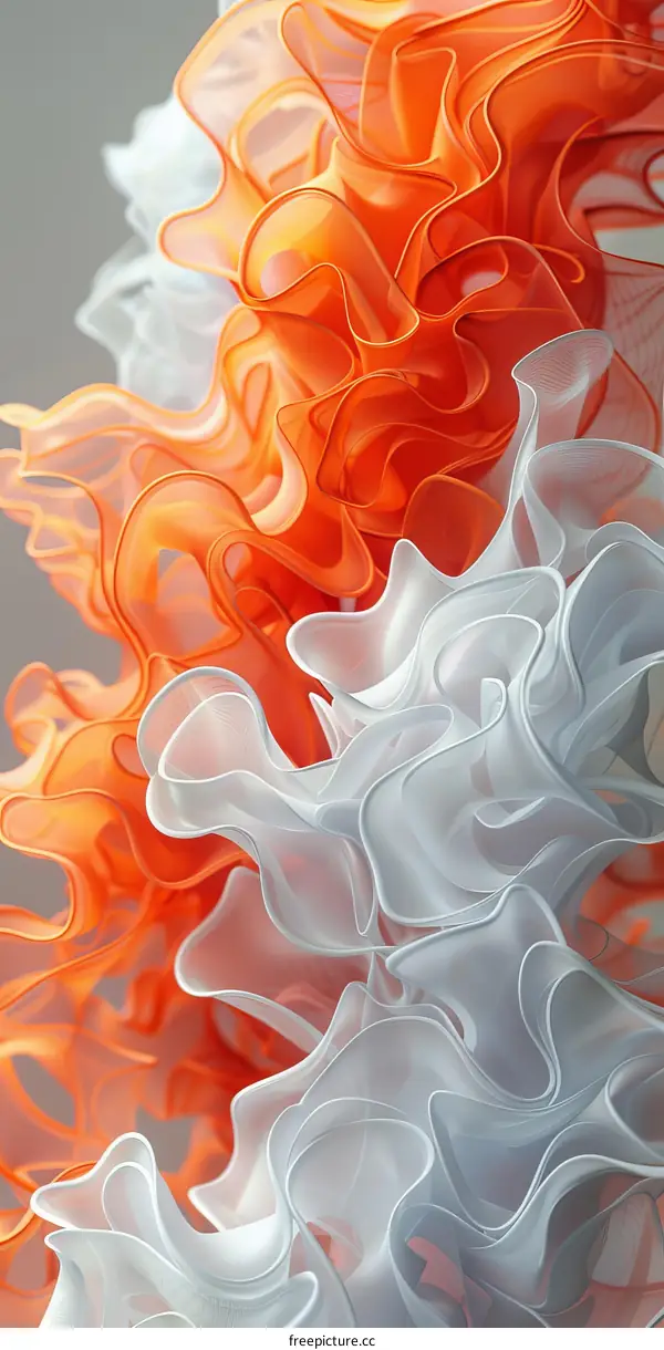 Abstract Organic Forms in Orange and White