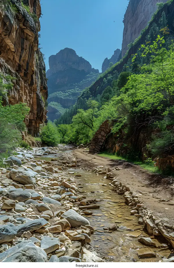 A river runs through a canyon with sheer rock walls and a lush green forest