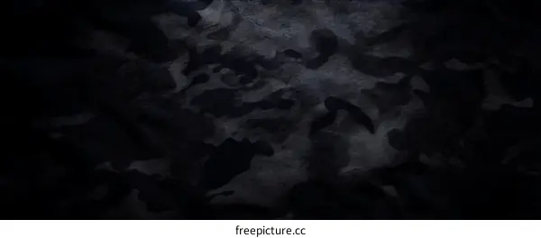 Dark Grey Camouflage Pattern Fabric Texture