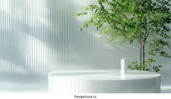 Modern Minimalist White Display with Plants