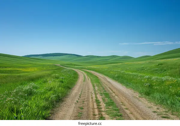 Dirt road through a lush green field