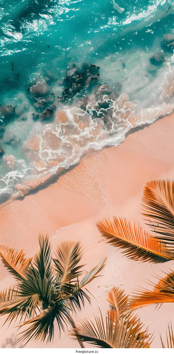 Tropical Beach with Palm Trees and Turquoise Water