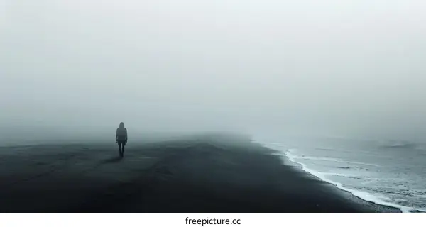A solitary figure walks along a beach