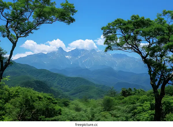 Mountains and Forest under Blue Sky