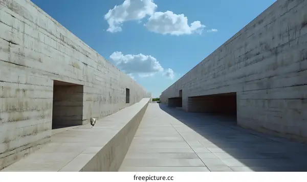 Minimalist Concrete Architecture Pathway