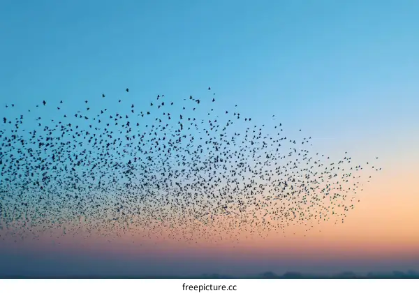 A Vast Flock of Birds Soaring Through the Sunrise Sky