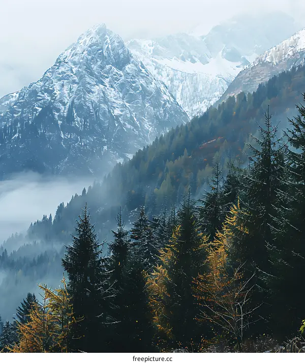 Snow Covered Mountain Peak with Foggy Forest