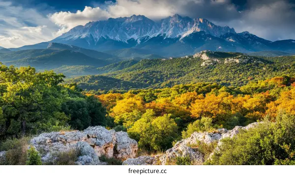 Autumnal Mountain Landscape with Colorful Trees