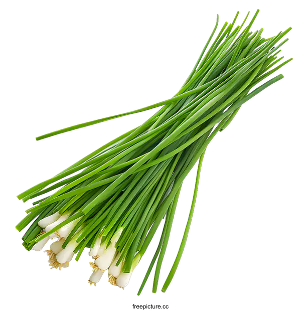 [Transparent Background PNG]Fresh Chives on White Background