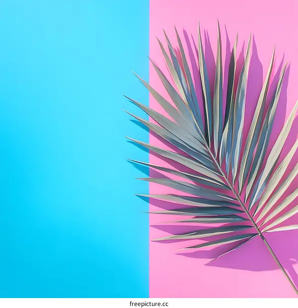 Tropical Palm Leaf on a Pink and Blue Background