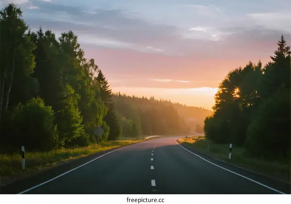 Scenic road surrounded by lush green trees at sunrise