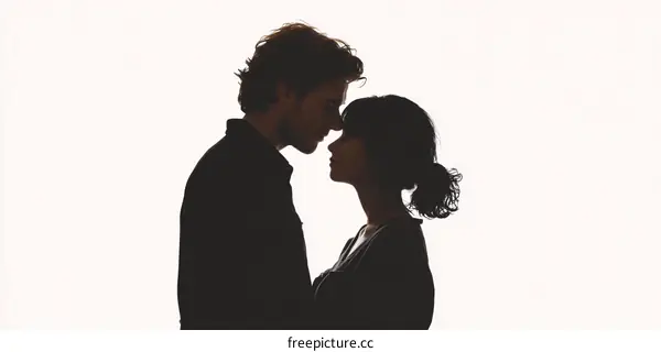 Loving Couple Silhouette Portrait