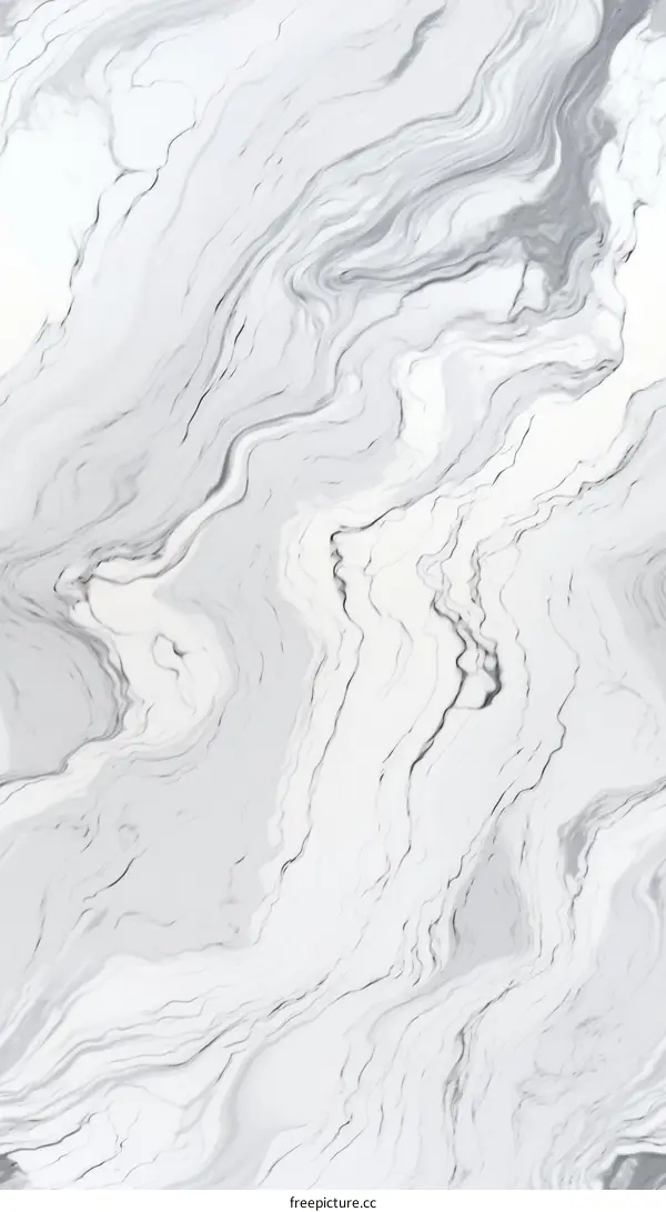 Black and White Marble Texture