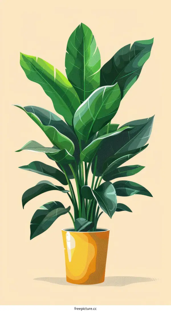 A large potted plant with dark green leaves
