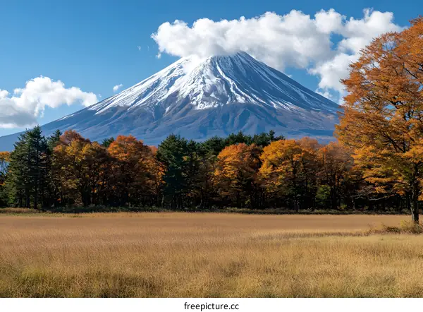 Mount Fuji with Autumn Trees and Grassland
