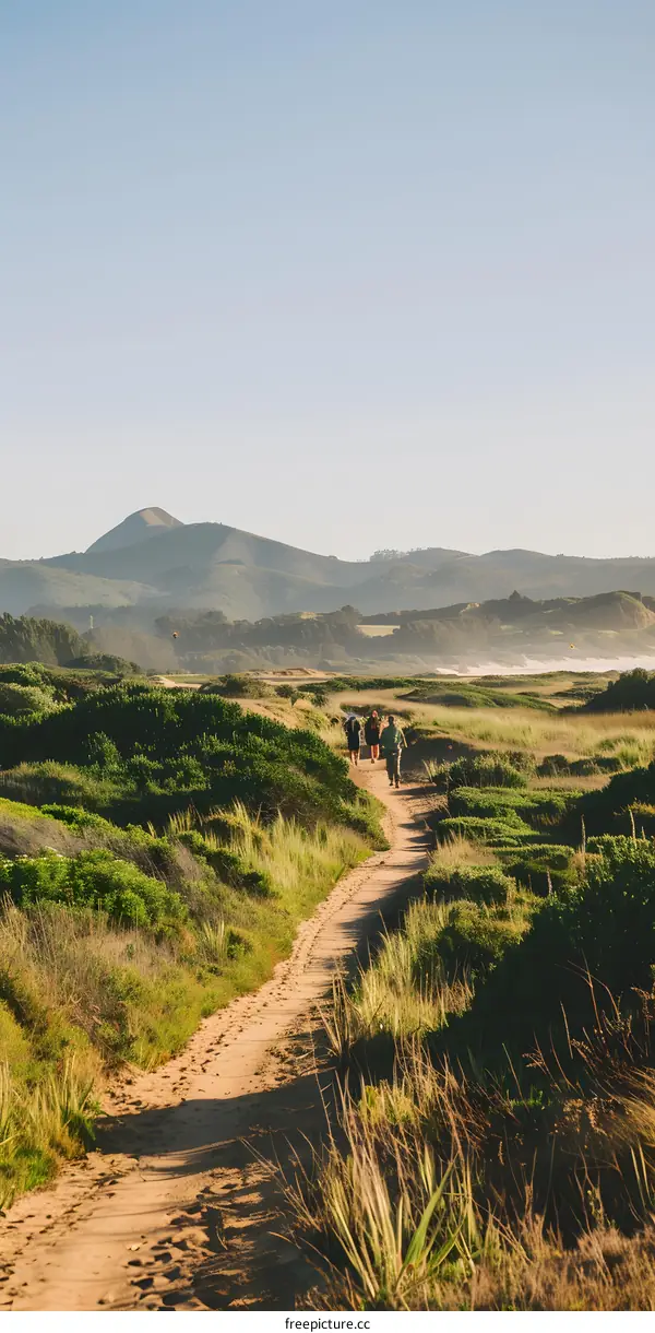 Hiking Through the Lush Green Grass and Sand Trail
