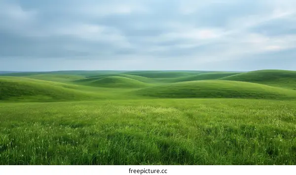 Green rolling hills under a blue sky with white clouds