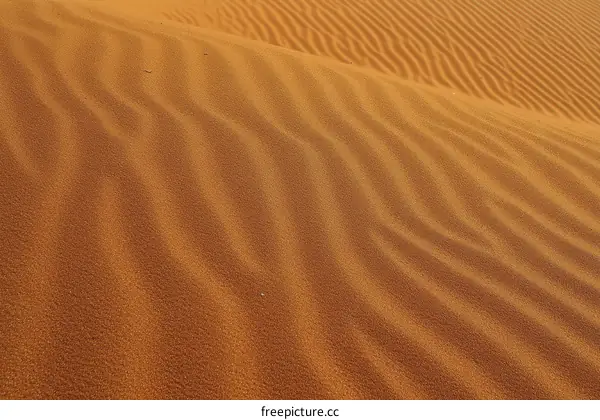 Desert Sand Patterns Close-up Texture