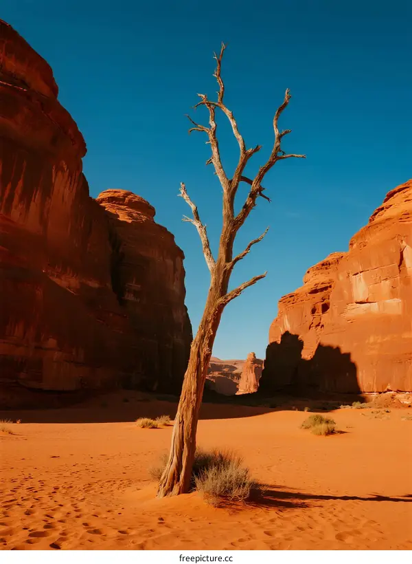 Bare Tree Standing Amidst Red Sandstone Cliffs Under Clear Blue Sky