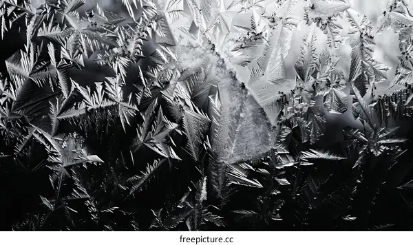 Black and white frost patterns on glass