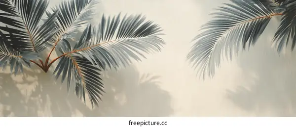 Elegant Palm Leaves Against a Beige Wall