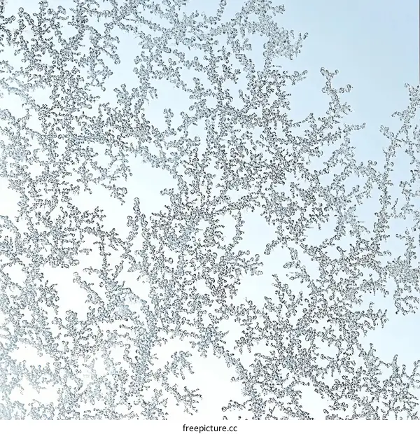Frozen Window Pattern Ice Crystal Design