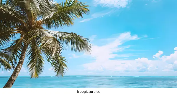 Palm Tree Overlooking Blue Ocean and Sky