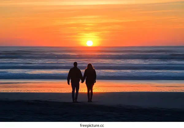 Silhouette of Couple Holding Hands on a Beach at Sunset
