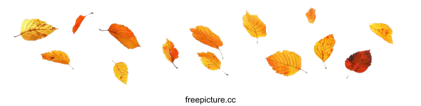 [Transparent Background PNG]Autumn Leaves Falling in the Wind